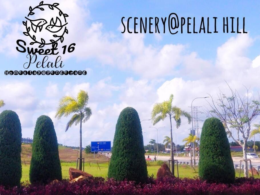 Sweet 16 Pelali Homestay Pengerang Exterior photo